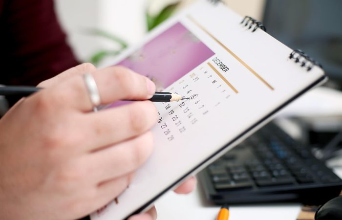 Пошаговый сезонный план для голубиковода (весна–осень): открытый грунт и контейнер